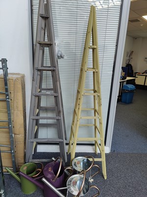 Lot 228 - Garden plant climbing frames and a qty of watering cans