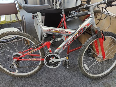 Lot 221 - Mountain Ridge Summit Mountain Bike
