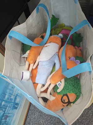 Lot 151 - Qty of Carrot Soft Toys