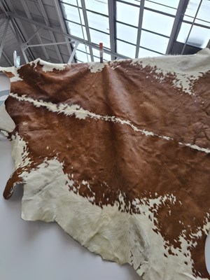 Lot 34 - Cow Hide for home decor