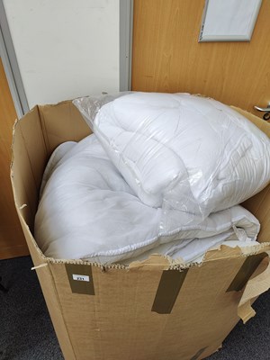 Lot 231 - Large Box of Assorted Bedding