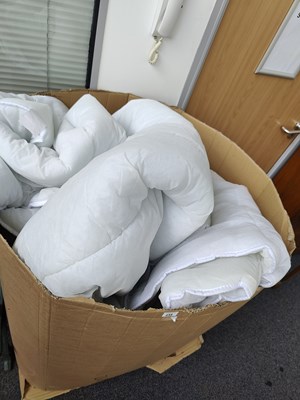 Lot 235 - Large Box of Assorted Bedding