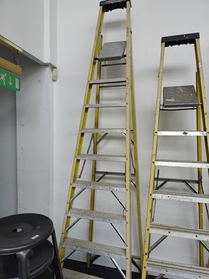 Lot 205 - Youngman 10 tread step ladder