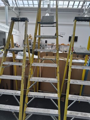 Lot 211 - Youngman 8 tread step ladder