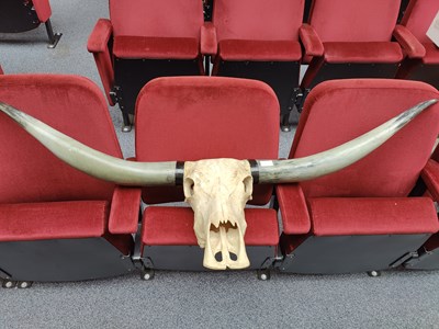 Lot 117 - Artificial skull with horns