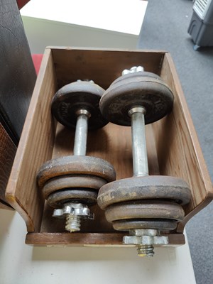 Lot 346 - Pair of weights