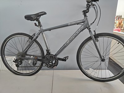 Lot 192 - Carrera subway town bike