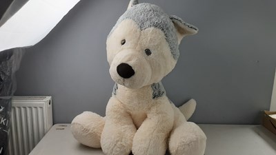 Lot 92 - Husky dog soft toy teddy