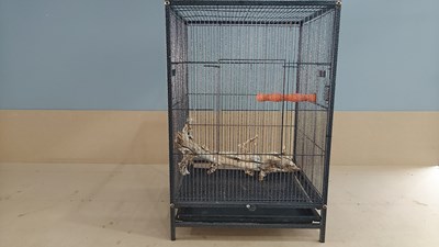 Lot 162 - Black Bird Cage With Contents