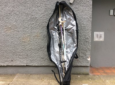 Lot 50 - Spheric skis with ski sticks