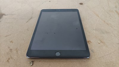 Lot 92 - Apple iPad a1599 tablet fully reset