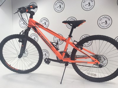 Lot 209 - 24 inch team mountain bike
