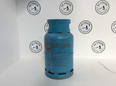 Lot 229 - Butane LP Gas Bottle