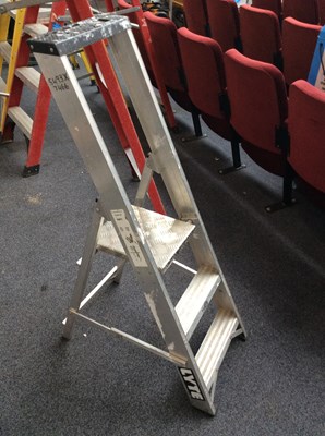 Lot 181 - Lyte industries 3 step ladder