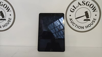Lot 81 - Apple iPad mini a1599 fully reset