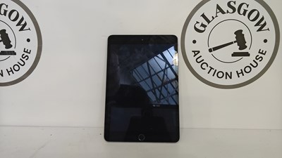 Lot 101 - Apple iPad mini a1599 fully reset
