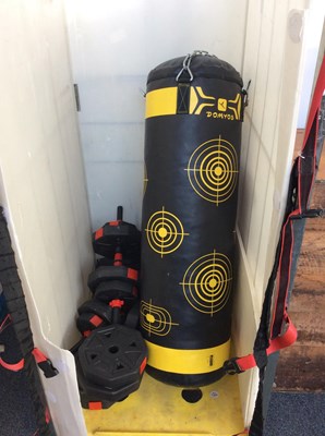 Lot 228 - Cage of weights and punching bag
