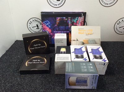 Lot 163 - Box Of Various Lights & Bug Zappers