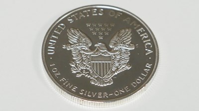 Lot 29 - 1oz Fine Silver Dollar Coin