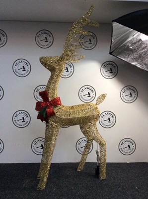 Lot 282 - Small Golden Light Up Glitter Reindeer Measuring 56” In Height - New