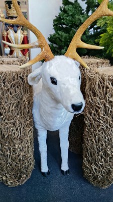 Lot 268 - One Large White Reindeer 4FT x 4FT 6” - Used