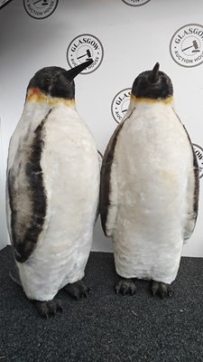 Lot 264 - Pair of life size penguins