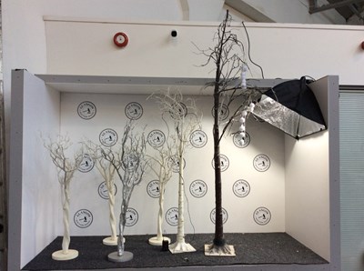 Lot 221 - 14 Christmas Decoration Trees In Various Sizes 44” - 80”, 5 Light Up - Used/UnTested