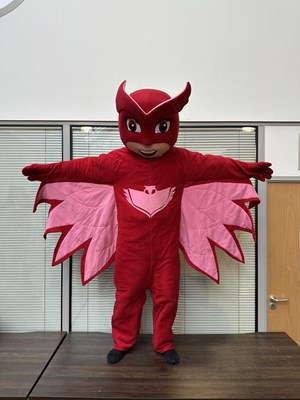Lot 42 - Owlette From Pj Masks Mascot Costume - Used