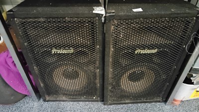 Lot 117 - Two Prposound speakers used