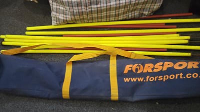 Lot 124 - Carry bag with sports training poles