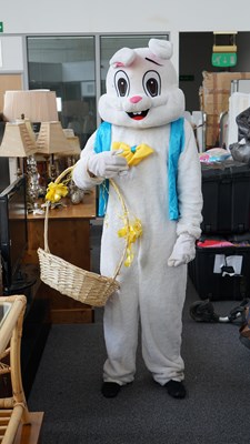 Lot 237 - Bunny costume and basket