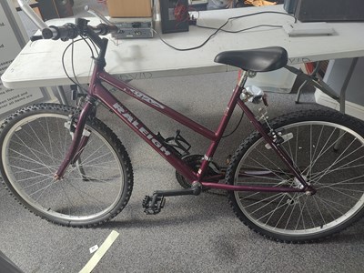Lot 249 - USA Design Raleigh ladies bike